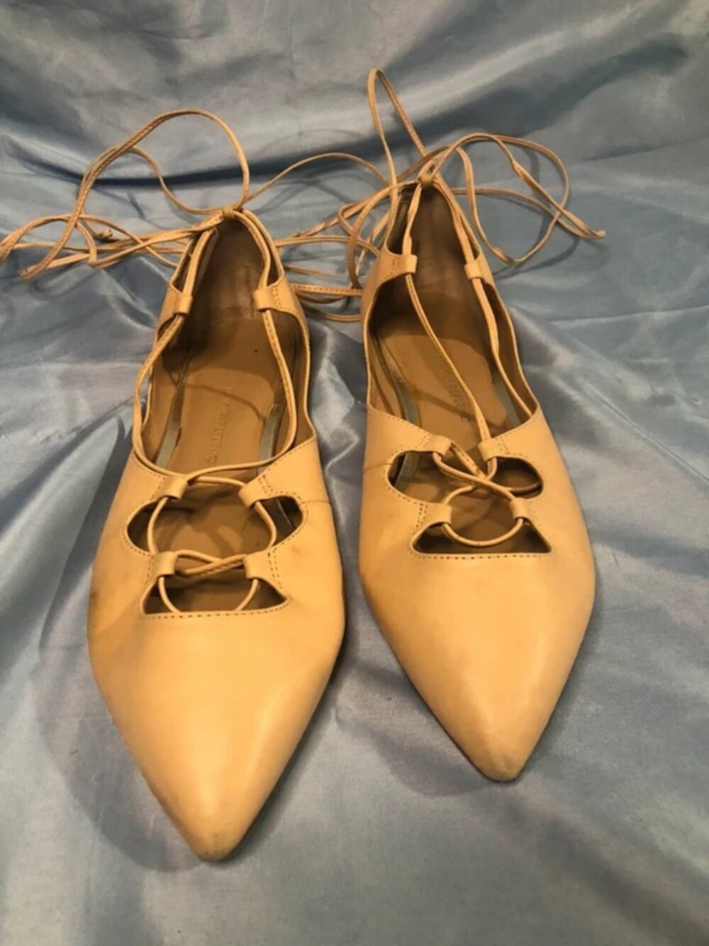 Banana Republic nude colored Allie flats